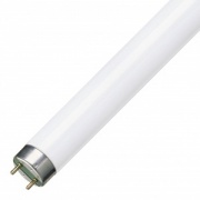 Люминесцентная лампа T8 Philips TL-D 36W/33-640 G13, 1200 mm