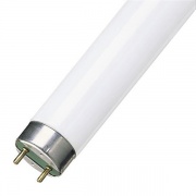 Люминесцентная лампа T8 Philips TL-D 58W/33-640 G13, 1500 mm